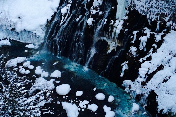 【Private Car】Asahiyama Zoo, Blue Pond, Shirahige Falls, Ningle Terrace (from Sapporo) - A long Hokkaido day made easier by private transport