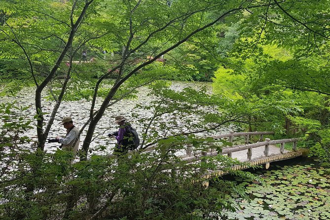 Private Car Day Trip to the Kobe Mountains, Gardens and Hot Springs from Osaka - Is $642.62 good value?