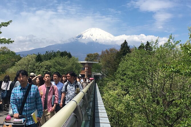 Private Car Mt Fuji and Gotemba Outlet in One Day from Tokyo - Oshino Hakkai and the shrines around Fuji