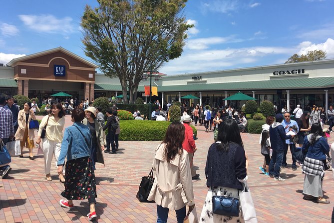 Private Car Mt Fuji and Gotemba Outlet in One Day from Tokyo - Ropeway views and the route’s optional attractions