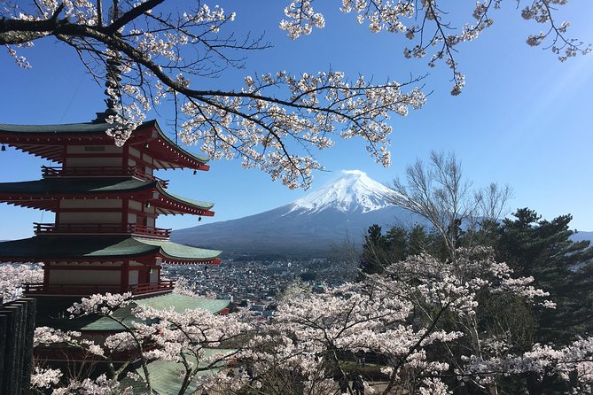 Private Car Mt Fuji and Gotemba Outlet in One Day from Tokyo - Should you visit Mt. Fuji’s fifth station?