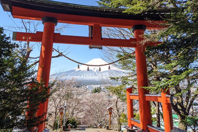 Private Car Mt Fuji and Gotemba Outlet in One Day from Tokyo - Lunch and local food choices