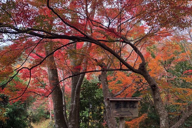 Private car tour in Kyoto (up to 4) - Nijo Castle: a large change of mood