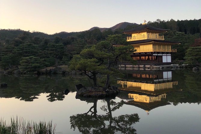 Private car tour in Kyoto (up to 9) - What this private Kyoto tour is really offering