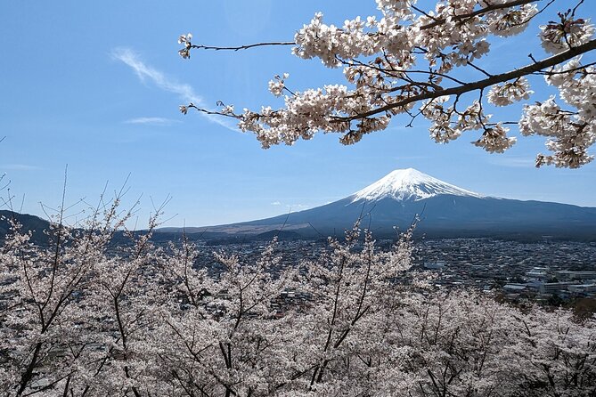 Private Car Tour to Mt. Fuji Lake Kawaguchiko or Hakone - Key points to know before booking
