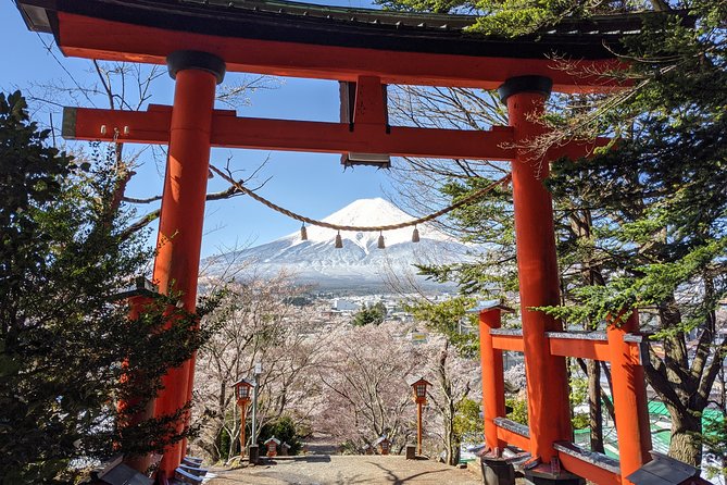 Private Car Tour to Mt. Fuji Lake Kawaguchiko or Hakone - What this private Fuji day trip really offers