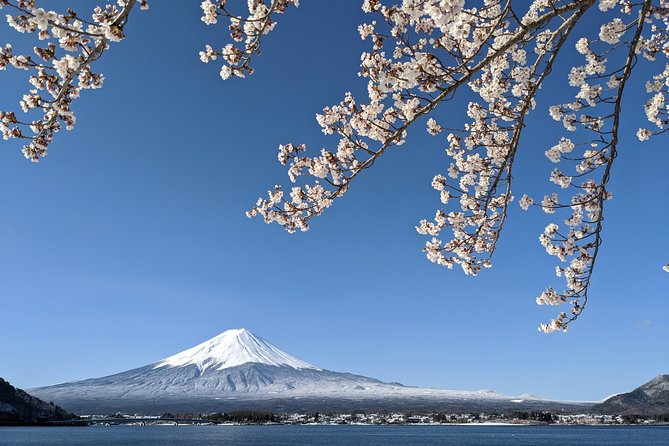 Private Car Tour to Mt. Fuji Lake Kawaguchiko or Hakone - Add rural Japan, caves, and local food