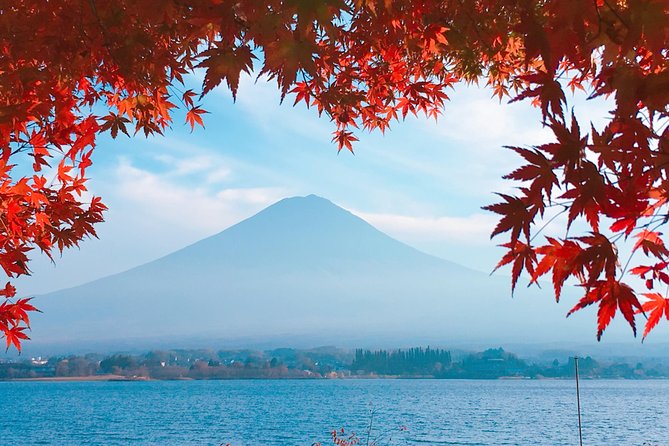 Private Car Tour to Mt. Fuji Lake Kawaguchiko or Hakone - Consider the Fuji 5th Station carefully