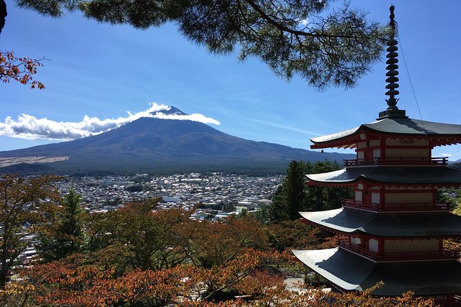 Private Car Tour to Mt. Fuji Lake Kawaguchiko or Hakone - Choose Hakone for volcanoes, cruises, and museums