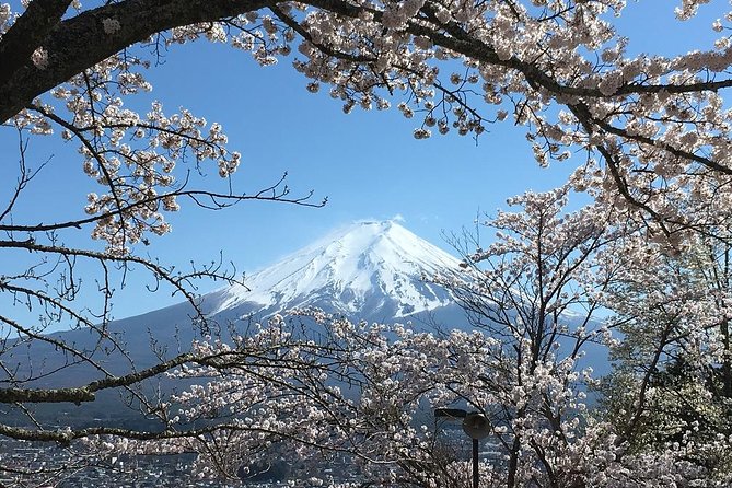 Private Car Tour to Mt. Fuji Lake Kawaguchiko or Hakone - The guide and driver shape the day