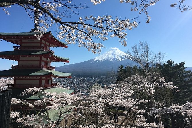 Private Car Tour to Mt. Fuji Lake Kawaguchiko or Hakone - Practical planning for a better day