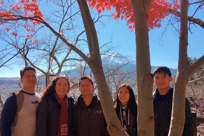 Private Car Tour to Mt. Fuji Lake Kawaguchiko or Hakone - Should you book this private Mt. Fuji or Hakone tour?