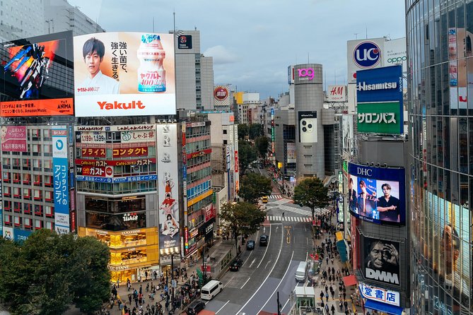 Private City Kickstart Tour: Tokyo - The final 45 minutes: advice shaped around you
