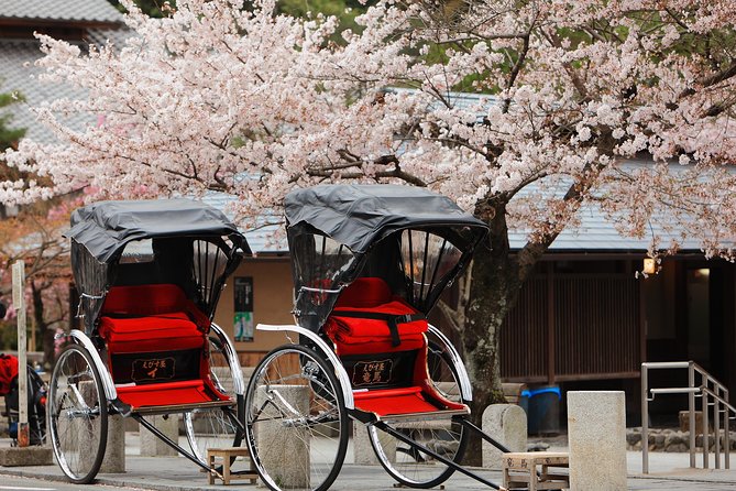 Private Custom Tour: Kyoto in One Day - Key points to know before booking