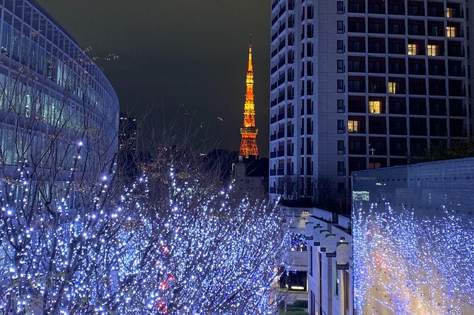 Private Custom Tour: Tokyo in a Day - Asakusa brings old Tokyo into focus
