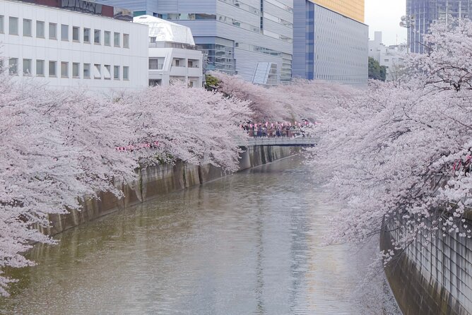 Private Custom Tour: Tokyo in a Day - The guide matters more than the checklist
