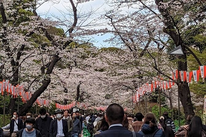 Private Day Tour In Tokyo with a Native English Speaker - Asakusa and Sensoji: start with old Tokyo