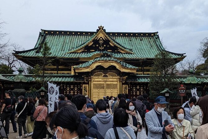 Private Day Tour In Tokyo with a Native English Speaker - Tsukiji: food, browsing, and a practical lunch stop