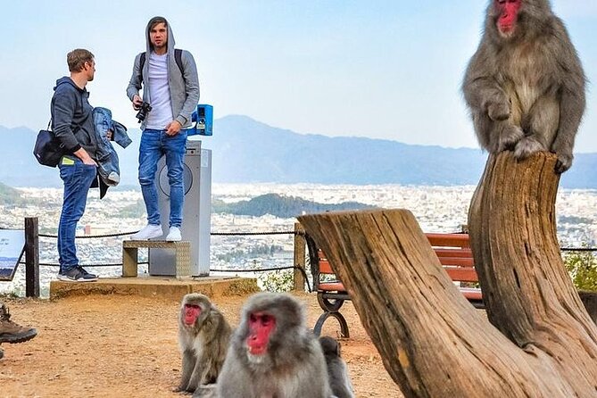 Private Day Tour - Kyoto Arashiyama & Bamboo Forest Perfect Tour! - Monkey Park Iwatayama takes the most effort
