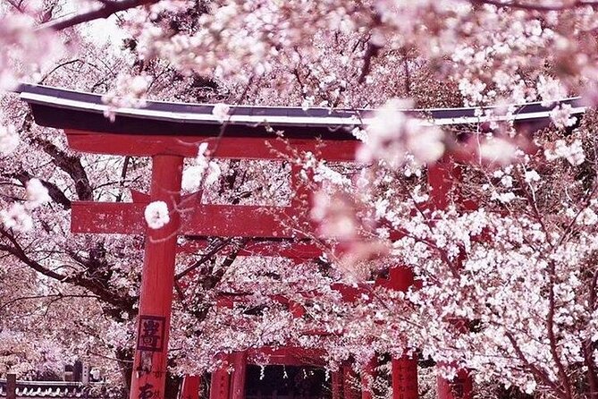 Private departure transfer from Kyoto city to Kansai International airport - Booking Timing and Cancellation Details