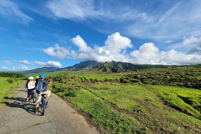 Private E-MTB guided cycling around Mt. Aso volcano & grasslands - Quick Reasons to Consider This Aso Ride
