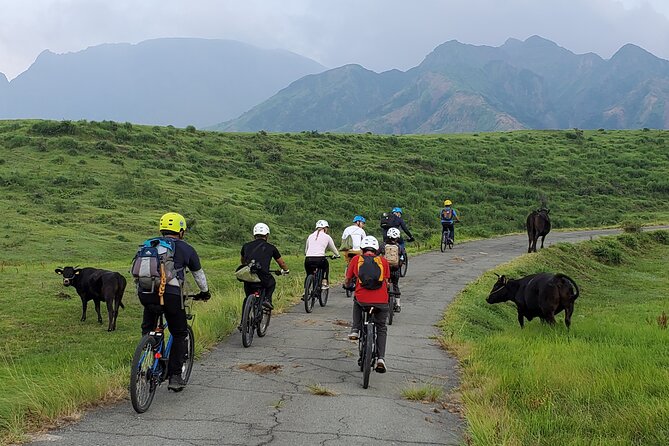 Private E-MTB guided cycling around Mt. Aso volcano & grasslands - Kusa no Michi and the Aso Grasslands