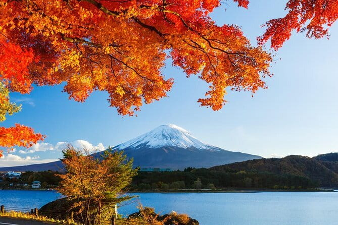 Private Fuji Full-day Car Tour with Hotel Pickup -Local Guide - Shiraito Falls is the strongest nature stop
