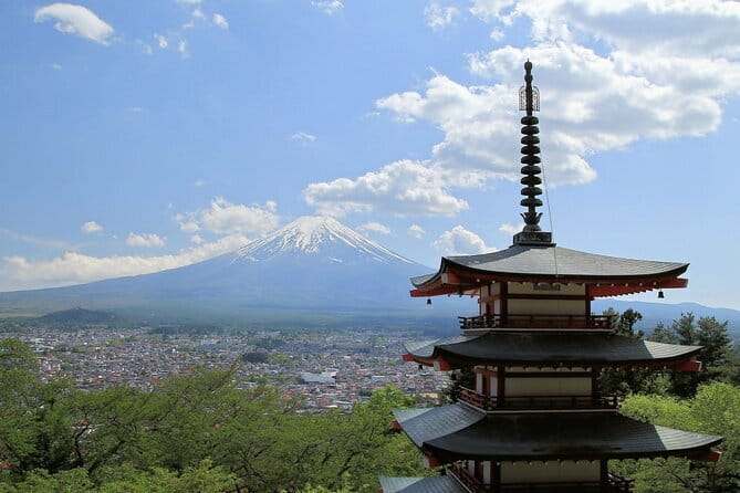 Private Fuji Half-day Car Tour with Hotel Pickup and Local Guide - How guides shape the experience
