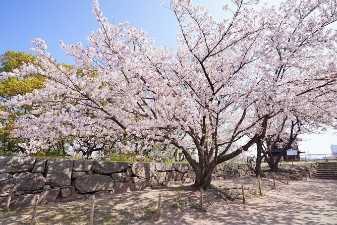 Private Fukuoka Tour with a Local, Highlights & Hidden Gems 100% Personalised - Nakasu and the yatai food stalls