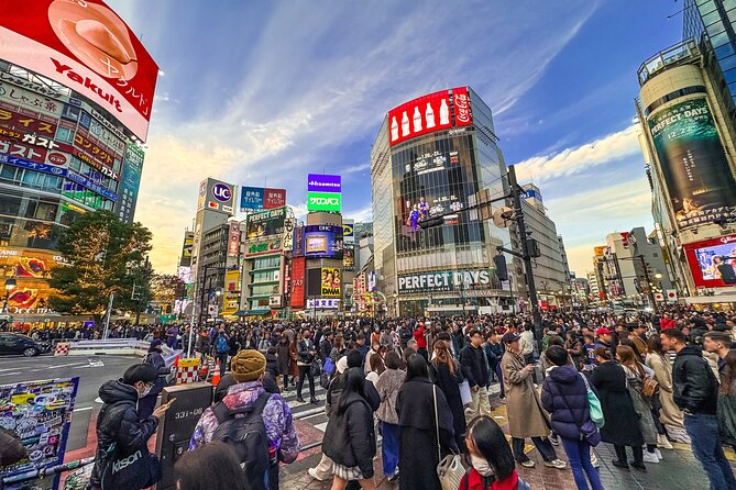 Private Full-day Tokyo Walking Subway Tour by Japan Gray Line - Key points before you book