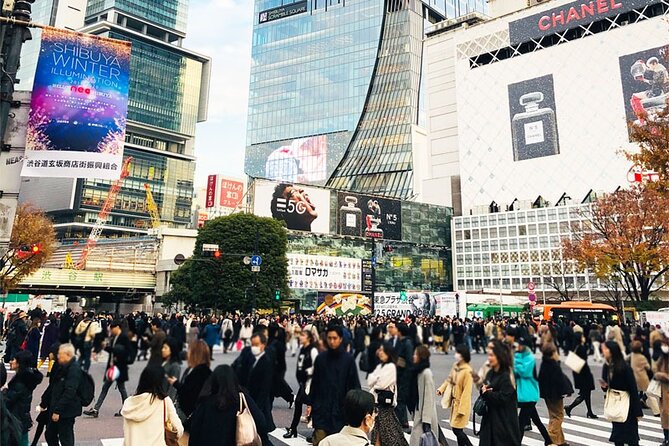 Private Full-day Tokyo Walking Subway Tour by Japan Gray Line - Asakusa and Senso-ji: the traditional finish