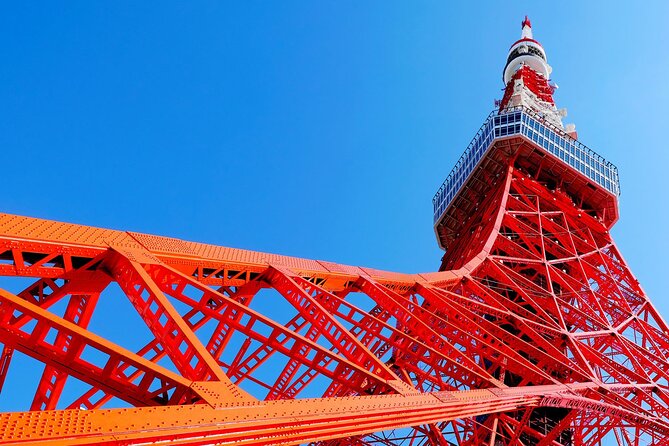 Private Full-day Tokyo Walking Subway Tour by Japan Gray Line - Public transport, walking, and the physical effort
