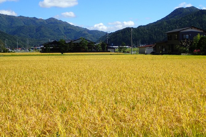 Private-group Morning Cycling Tour in Hida-Furukawa - Weather can change the plan