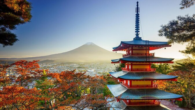 Private guided hidden gems tour by local English speaking driver - Private transport makes the short duration useful