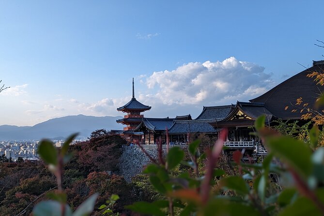 Private Guided Historical Sightseeing Tour in Kyoto - What this private Kyoto tour is really designed to do