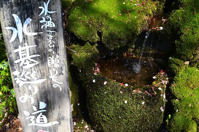 Private guided tour: Mt. Aso volcano, grasslands, Aso Shrine - Why this private Aso tour works well