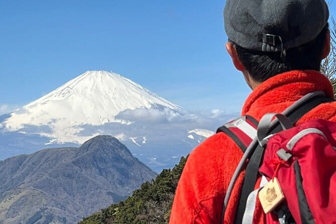 Private Hakone Half-day Car Tour with Hotel Pickup - Local Guide - The guides make the difference