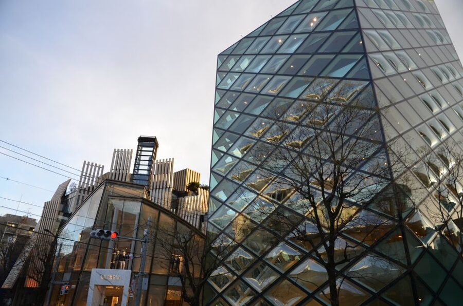 Private Harajuku Omotesando Architecture Tour - The Iceberg, Dior, and Louis Vuitton