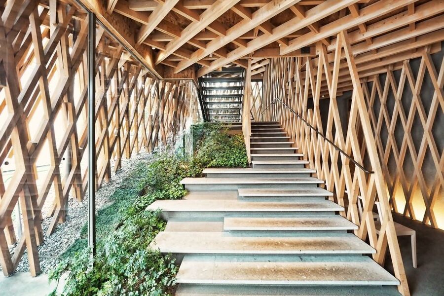 Private Harajuku Omotesando Architecture Tour - Why the private format matters
