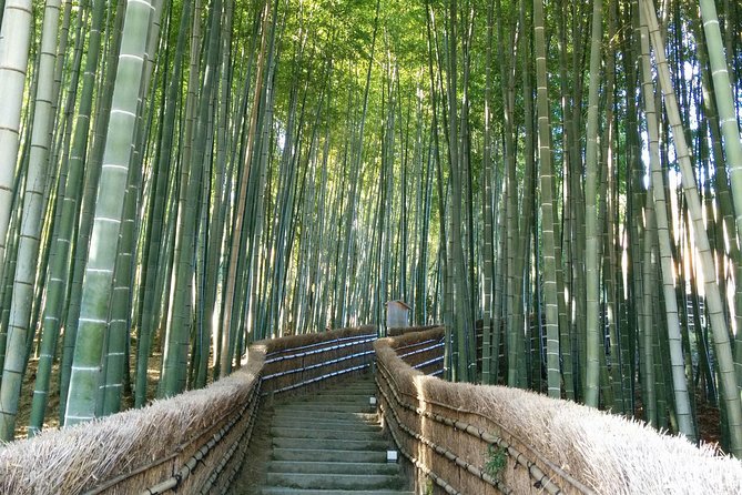 Private Highlights of Kyoto Tour - Five useful things to know before booking
