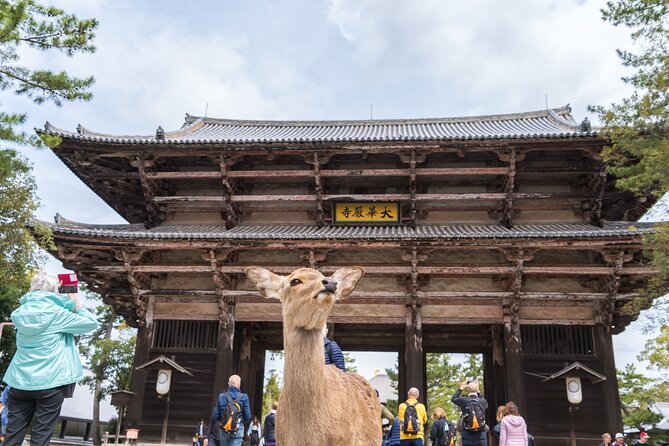 Private Kyoto Tour by Car with Optional Nara or Osaka Add-Ons - Starting at Fushimi Inari’s red gates