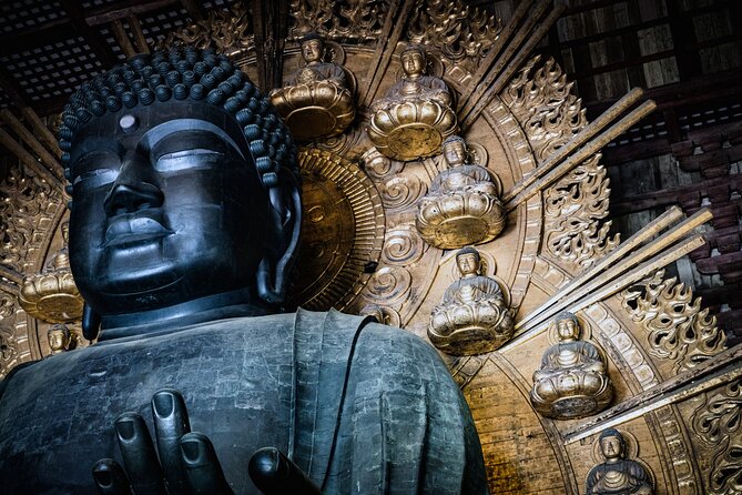 Private Kyoto Tour by Car with Optional Nara or Osaka Add-Ons - The Kyoto and Osaka option