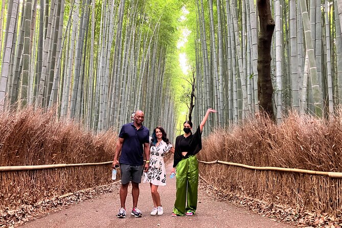 Private Kyoto Tour with Licensed Guide & Vehicle (Max 15 persons) - Northern Kyoto: Kinkaku-ji, Ryoan-ji, and Ninna-ji
