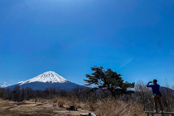 Private Local Hiking to enjoy the nature and culture of Mt.Fuji - Aokigahara Forest and the story beneath your feet