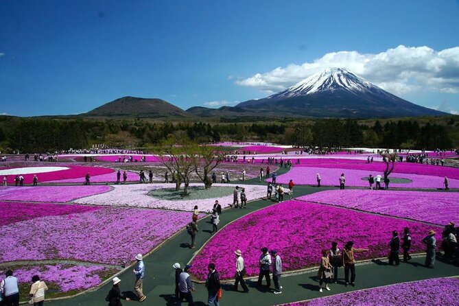 Private Mount Fuji Tour in Luxury Vehicle with English Guide - Why a private Fuji day makes sense from Tokyo