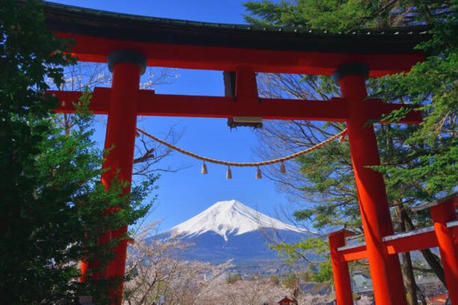 Private Mount Fuji Tour in Luxury Vehicle with English Guide - Oshino Hakkai: pretty, traditional, and busy