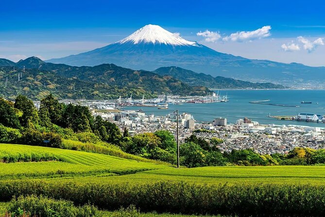 Private Mount Fuji Tour in Luxury Vehicle with English Guide - The shrine route and Mount Fuji’s spiritual side
