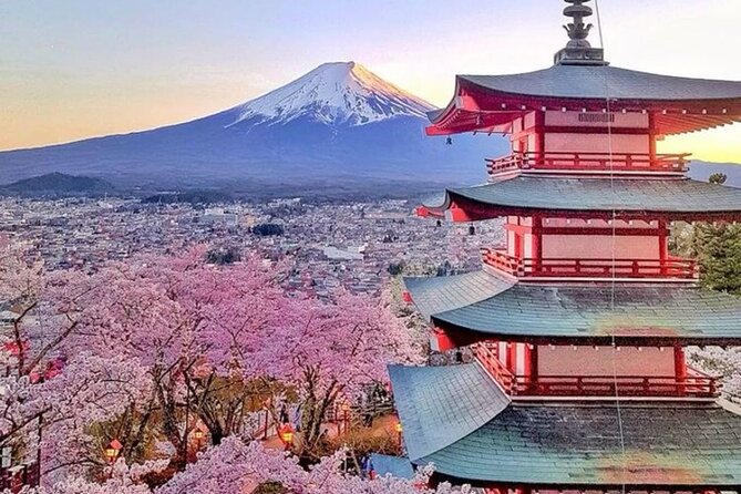 Private Mount Fuji Tour in Luxury Vehicle with English Guide - The Lawson photo stop