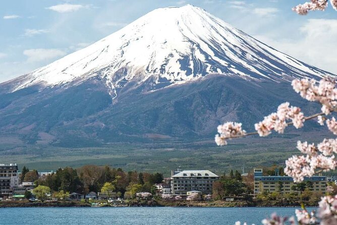 Private Mt. Fuji Custom Tour from Tokyo - What kind of Mt. Fuji day trip is this?