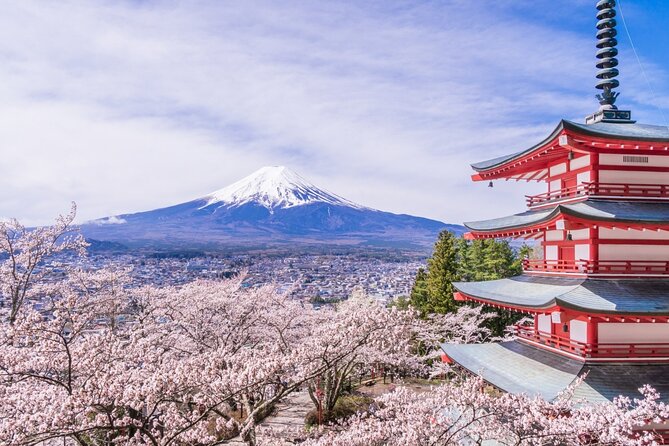 Private Mt. Fuji Custom Tour from Tokyo - Lake Kawaguchiko offers a calmer hour